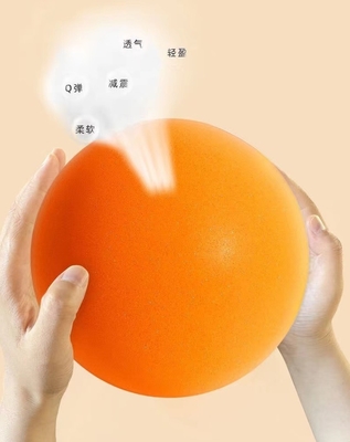 Skip Ball Indoor Silent Bouncing Mute Ball 24cm voor kinderen