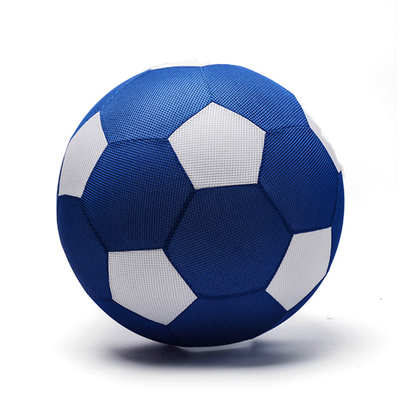 Kleed speelgoed bal Neon aangepast 8,5 inch opblaasbaar net voetbal